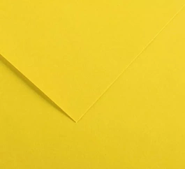 CONSON JAUNE BEAUX ART 50*65