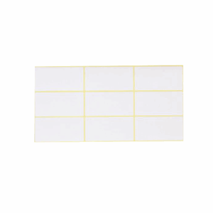 ETIQUETTE DE FAUTE 20*40 BLANC/P100