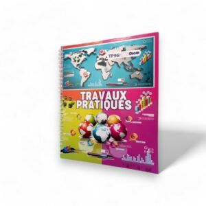 CAHIER TP GM 21*29.7CM SEYES