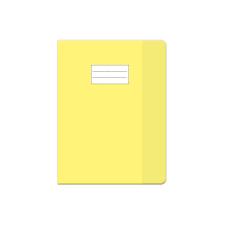 PROTEGE PM JAUNE ECRITURE