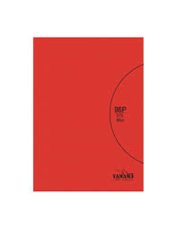 CAHIER PLASTIQUE 96P A4 80G BMV ROUGE